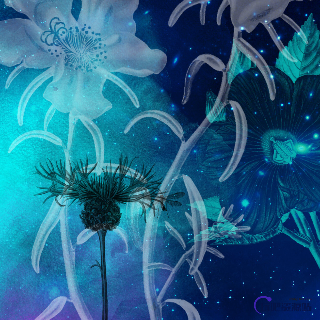 17种复古式植物鲜花花朵图案Photoshop笔刷素材下载