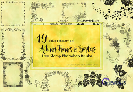 19种漂亮的植物艺术藤蔓边框、植物花纹装饰图案Photoshop印花笔刷下载-玩吧资源站