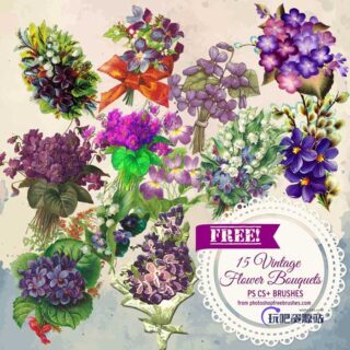 15种免费的复古鲜花图案PS笔刷素材下载-玩吧资源站