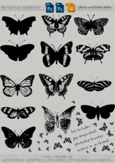 版刻式风格的蝴蝶、昆虫标本效果PS笔刷下载-玩吧资源站