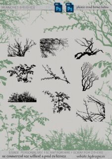 植物枝条、树杈剪影图形造影Photoshop笔刷素材下载-玩吧资源站