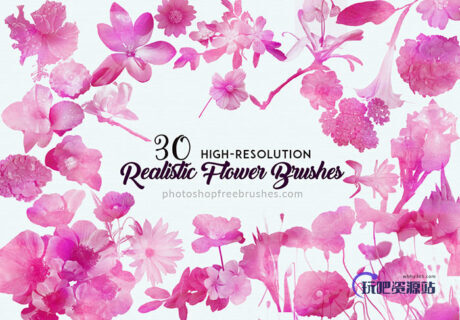 30种漂亮的鲜花图案PS花朵笔刷素材-玩吧资源站
