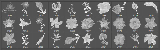 夏日主题的花卉图案、盛开的鲜花花朵Photoshop笔刷下载