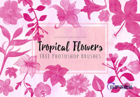 夏日主题的花卉图案、盛开的鲜花花朵Photoshop笔刷下载-玩吧资源站