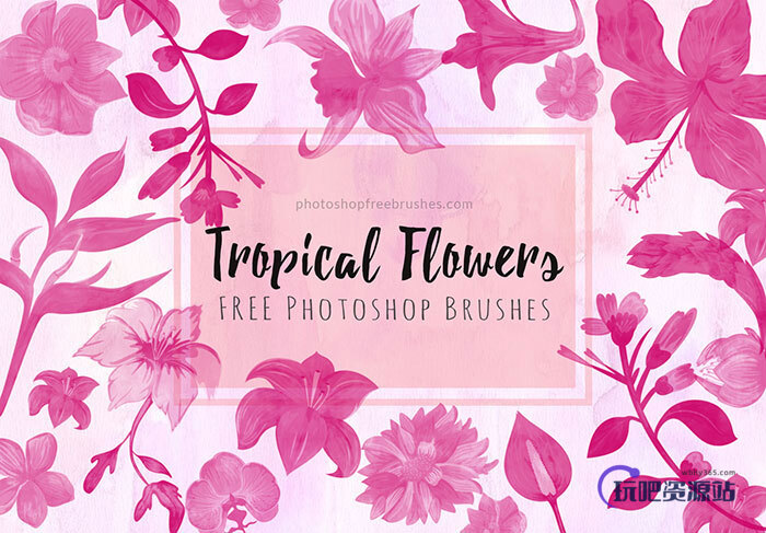 夏日主题的花卉图案、盛开的鲜花花朵Photoshop笔刷下载