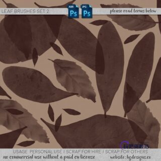 免费的树叶、叶子剪影、叶片标本图形PS笔刷素材下载-玩吧资源站