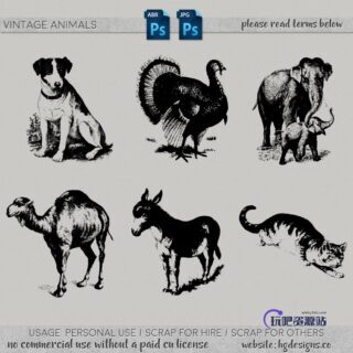 狗狗、大象、孔雀、骆驼、猫咪、驴子等动图造影图形PS笔刷下载-玩吧资源站