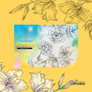 手绘线框鲜花图案、轮廓花朵PS笔刷素材下载-玩吧资源站