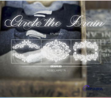 精美的欧式植物印花图案装饰PS笔刷下载-玩吧资源站