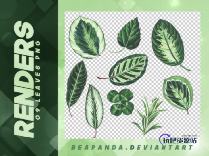 叶子、绿色的树叶造型之PNG图片免扣图透明格式笔刷素材-玩吧资源站