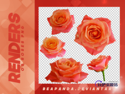 5种玫瑰鲜花花朵图案韩国笔刷风格下载（PNG免扣图透明格式）-玩吧资源站