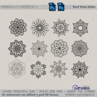 漂亮精美的手绘鲜花花朵图案装饰PS笔刷下载-玩吧资源站