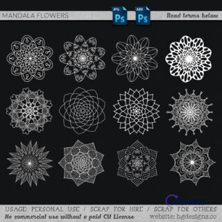 漂亮手绘盛开的鲜花花朵图案PS笔刷下载-玩吧资源站