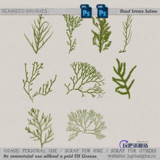 海藻植物图案PS笔刷下载-玩吧资源站
