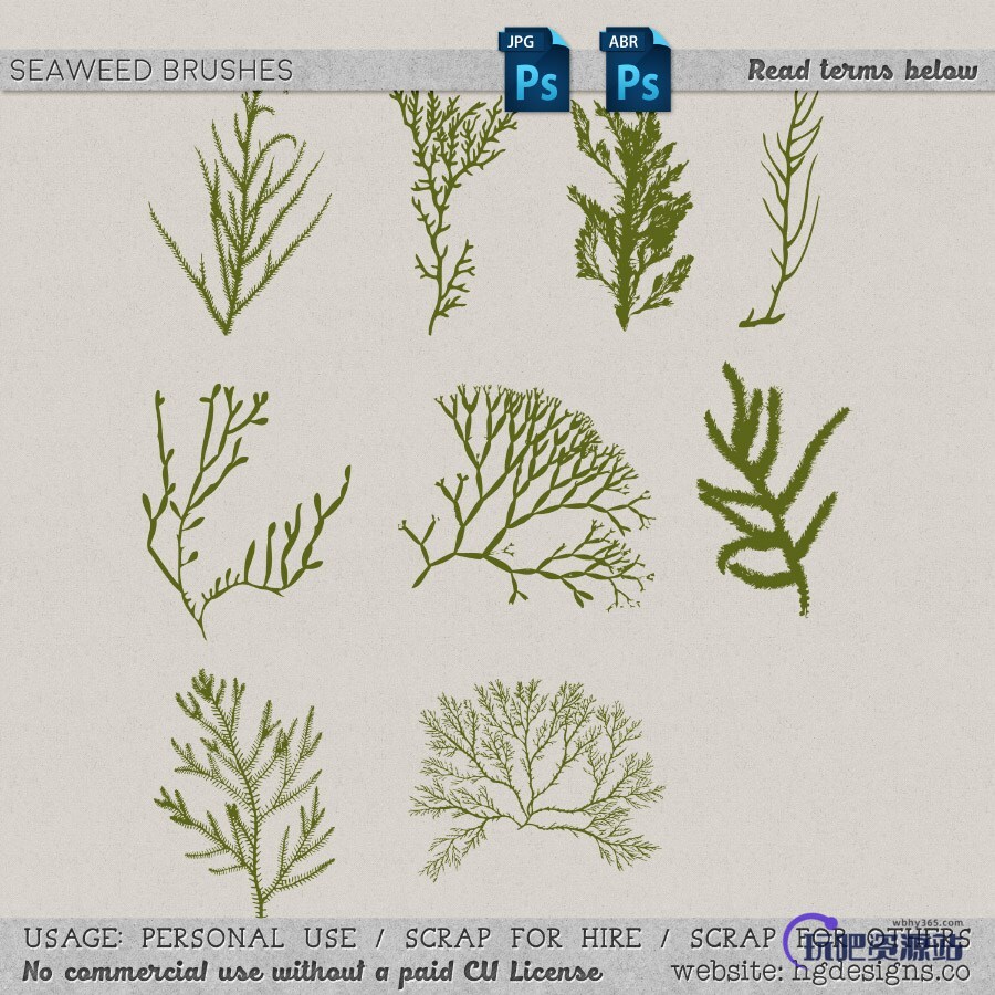 海藻植物图案PS笔刷下载