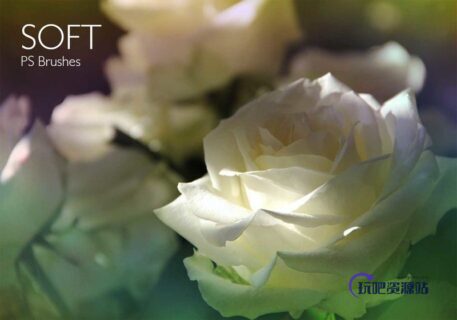 玫瑰笔刷-玩吧资源站