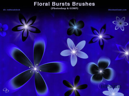 漂亮的花朵、鲜花图案PS笔刷素材下载-玩吧资源站