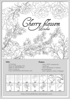 漂亮的手绘线框式鲜花花朵图案、盛开的枝条与花朵PS笔刷素材下载-玩吧资源站