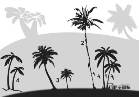 椰子树、椰树剪影Photoshop笔刷素材下载-玩吧资源站