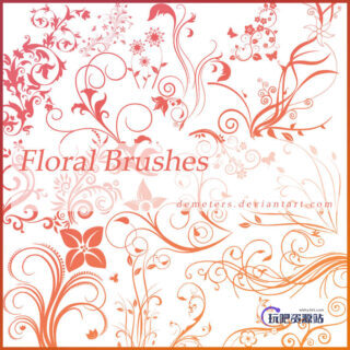 优雅而漂亮的植物艺术花纹图案Photoshop笔刷素材下载-玩吧资源站