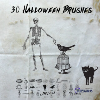 30免费万圣节装扮卡通图案PS笔刷素材下载-玩吧资源站