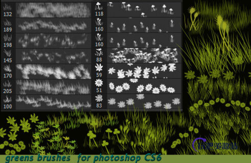 手绘绿色草地、青草、野花素材PS笔刷下载-玩吧资源站