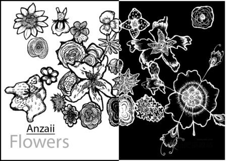 手绘艺术鲜花花朵图案Photoshop复古花纹笔刷-玩吧资源站