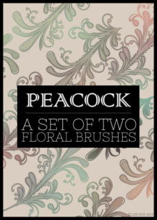 俏皮风格的欧式印花图案Photoshop墙壁花纹笔刷-玩吧资源站