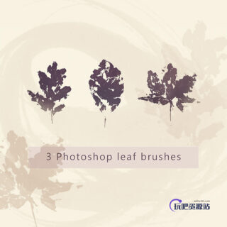 橡树树叶、枫叶、秋天枯叶、落叶剪影图形PS笔刷素材-玩吧资源站