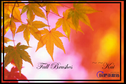 秋天的红叶祭效果、红叶、树叶PS叶子笔刷素材-玩吧资源站
