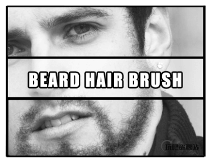 络腮胡子、浓密的毛发PS笔刷素材-玩吧资源站