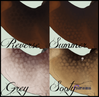 斑纹效果、鳞片、鳞甲纹理图案Photoshop笔刷素材下载-玩吧资源站