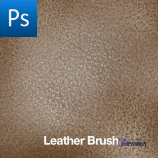 皮制品、皮革纹理图案PS笔刷素材下载-玩吧资源站