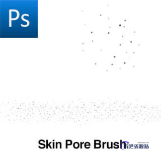 皮肤上的毛孔纹理PS笔刷素材下载-玩吧资源站