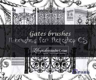 11种欧式铁门、铁艺花纹图案PS笔刷素材-玩吧资源站