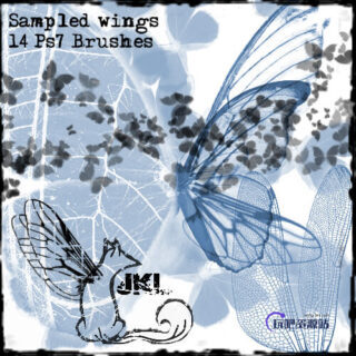 昆虫翅膀、蝴蝶翅膀PS笔刷素材下载-玩吧资源站