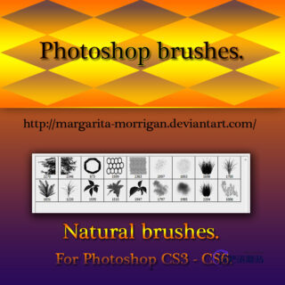 一组蜜蜂窝纹理、植物叶子、青草草丛图案、树荫等PS笔刷素材-玩吧资源站