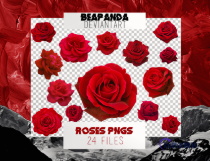 24种漂亮的盛开的玫瑰花朵图案PS笔刷素材下载-玩吧资源站