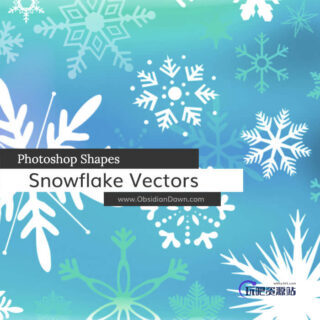 漂亮的矢量式雪花花纹图案photoshop自定义形状素材 .csh 下载-玩吧资源站