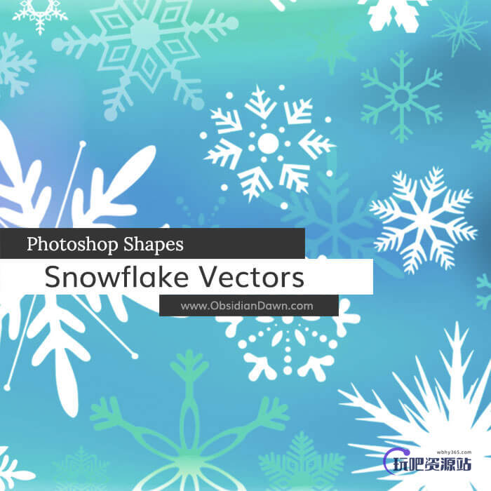 漂亮的矢量式雪花花纹图案photoshop自定义形状素材 .csh 下载