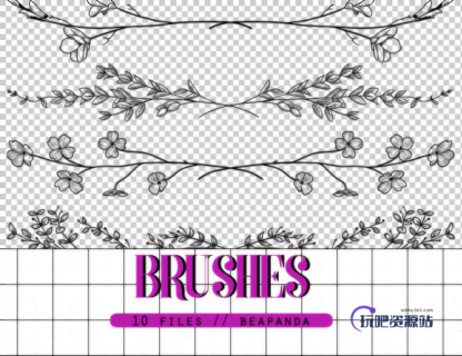 10种免费的鲜花枝条图案分割、分界装饰PS笔刷素材下载-玩吧资源站