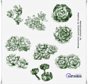 漂亮的水彩手绘花朵鲜花图案Photoshop笔刷素材下载-玩吧资源站