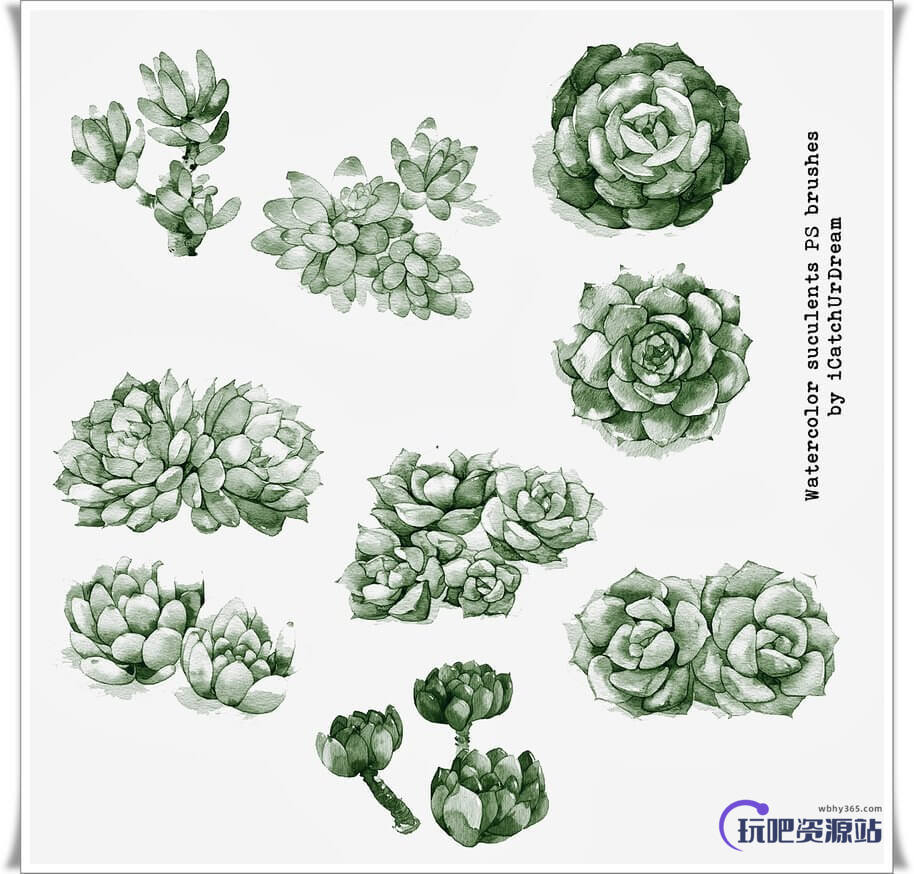 漂亮的水彩手绘花朵鲜花图案Photoshop笔刷素材下载