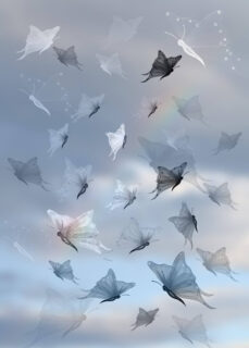 漂亮梦幻的蝴蝶Photoshop昆虫笔刷-玩吧资源站