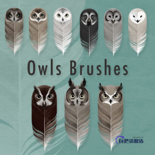 有意思的猫头鹰羽毛效果PS笔刷素材下载-玩吧资源站