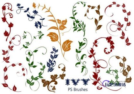 20种植物常青藤花纹图案PS笔刷素材下载-玩吧资源站