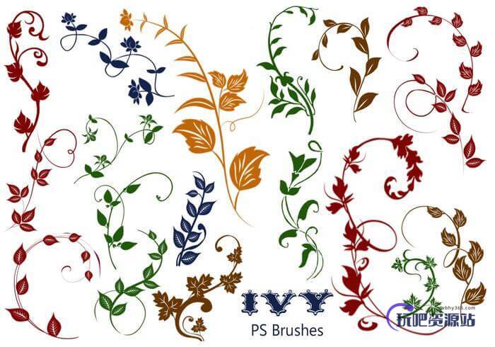 20种植物常青藤花纹图案PS笔刷素材下载