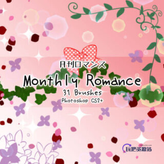 浪漫风格装饰图案PS笔刷素材下载-玩吧资源站