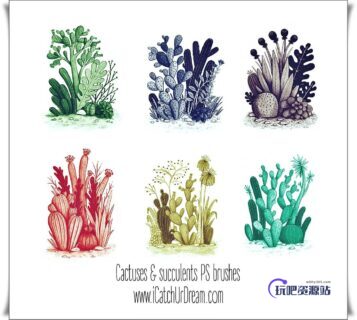 漂亮的卡哇伊仙人掌卡通造型Photoshop笔刷素材下载-玩吧资源站