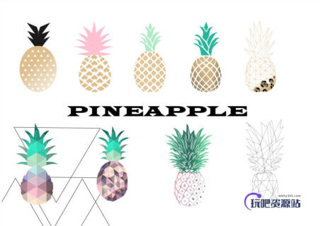 时尚扁平化魅力菠萝造型Photoshop笔刷素材下载-玩吧资源站